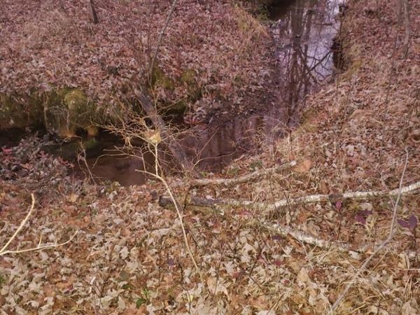 Lot 45 Indian Trail, Monterey, TN 38574