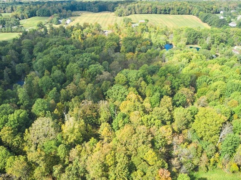 6697 Boneta Road, Medina, OH 44256 Photo 11