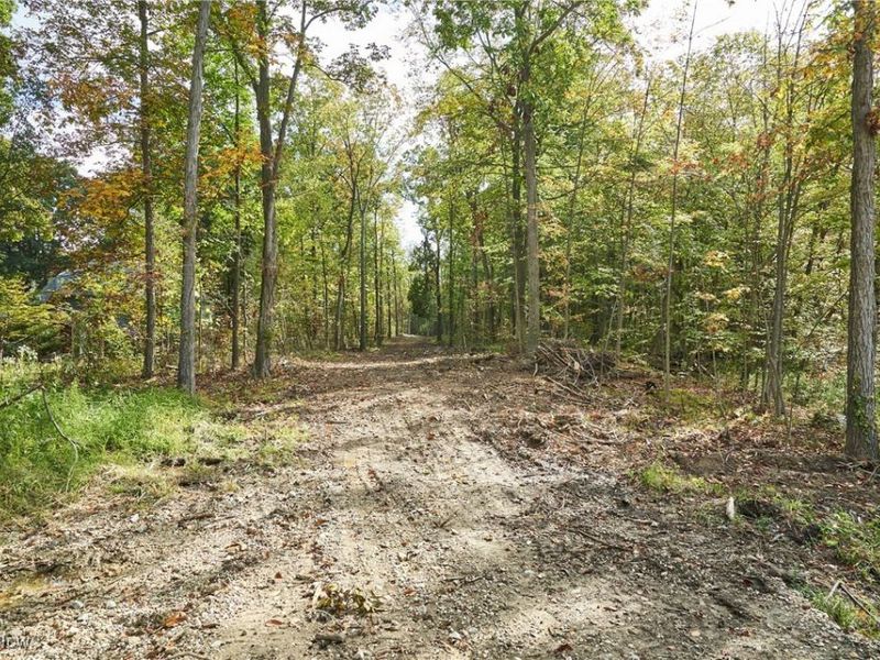 6697 Boneta Road, Medina, OH 44256 Photo 5