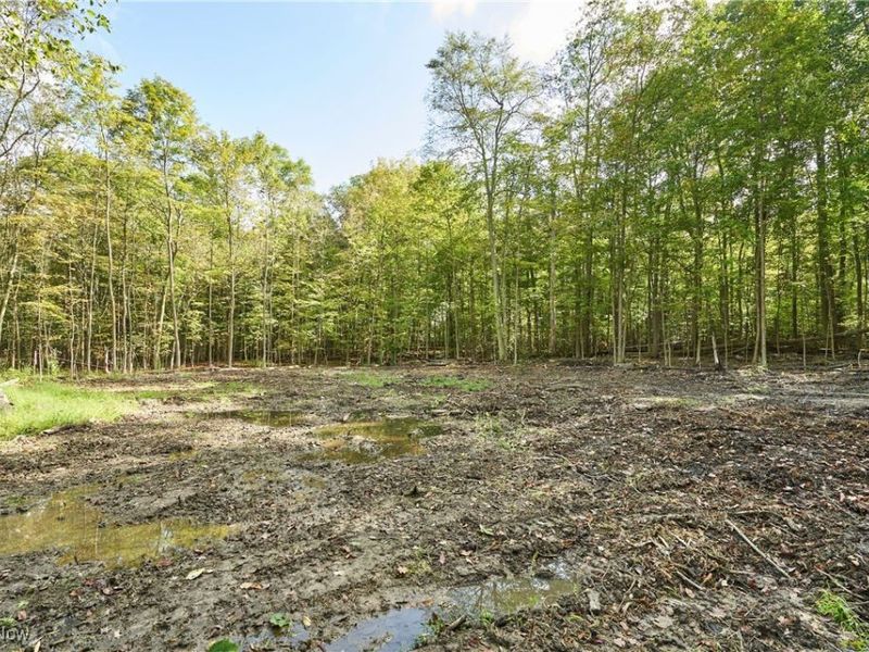 6697 Boneta Road, Medina, OH 44256 Photo 6