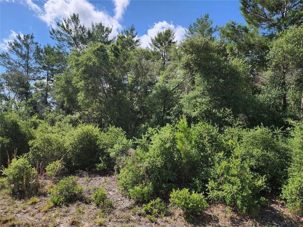 4168 SW 112TH LANE, OCALA, FL 34476