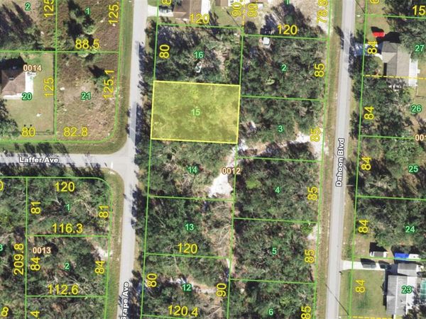 38 GRAPE AVENUE, PUNTA GORDA, FL 33982