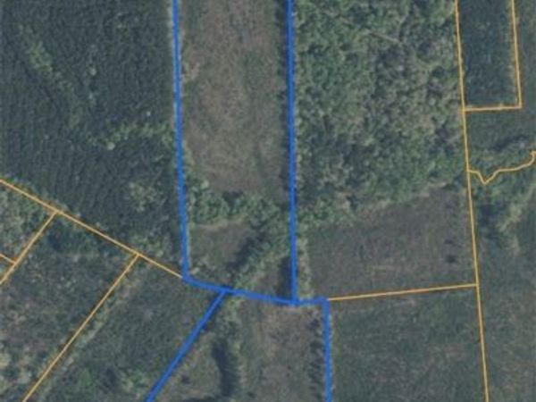 12530 Sapony Church Road, Dinwiddie, VA 23872