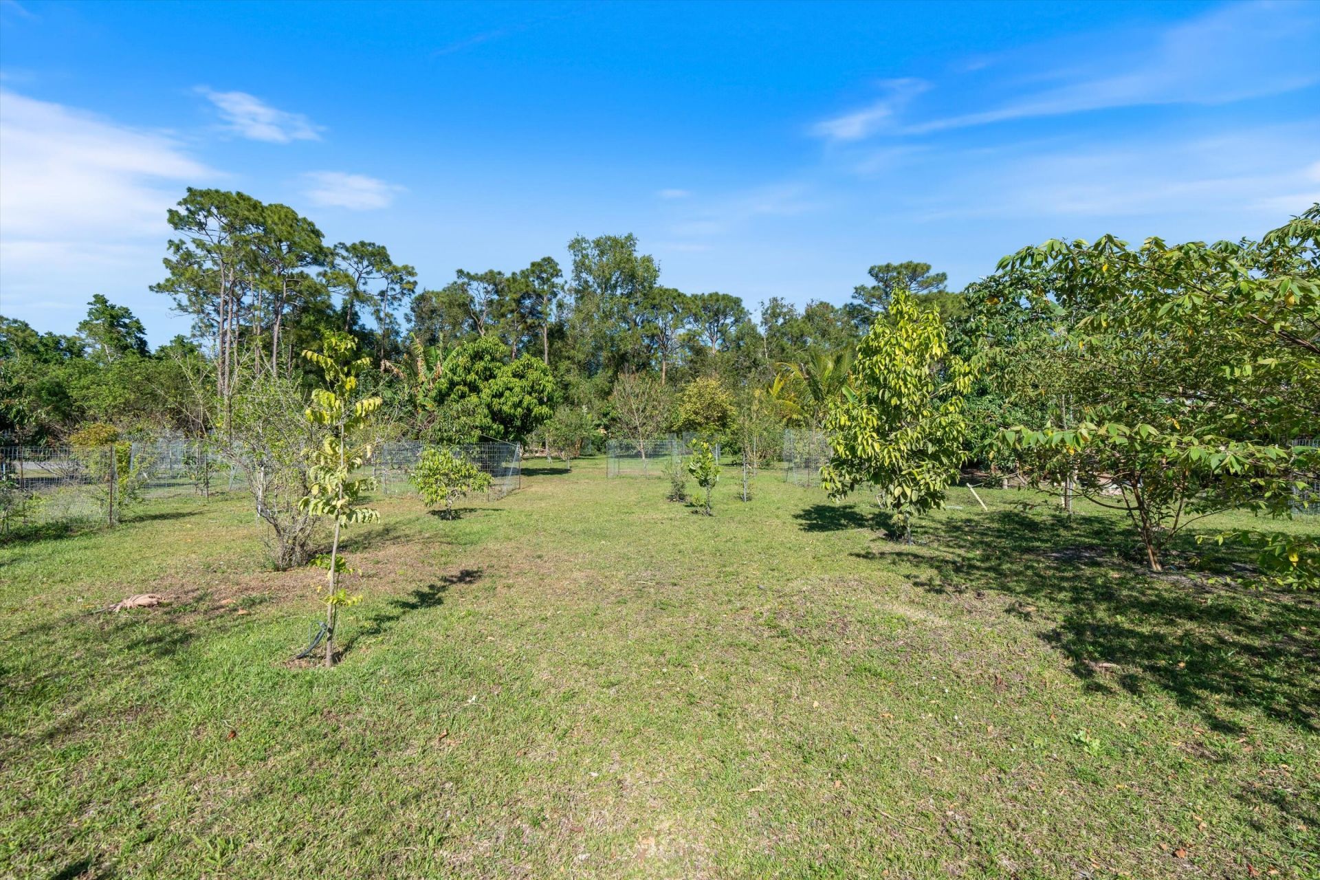 11443 Key Deer Circle, Lake Worth, FL 33449 Photo