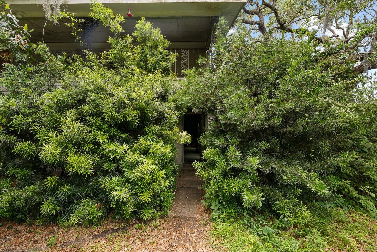 2180 Wappoo Hall Road Photo 8