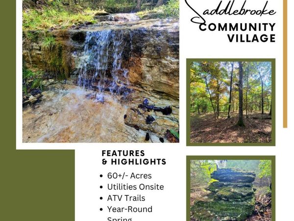 000 Dry Hollow Road , Saddlebrooke, MO 65630