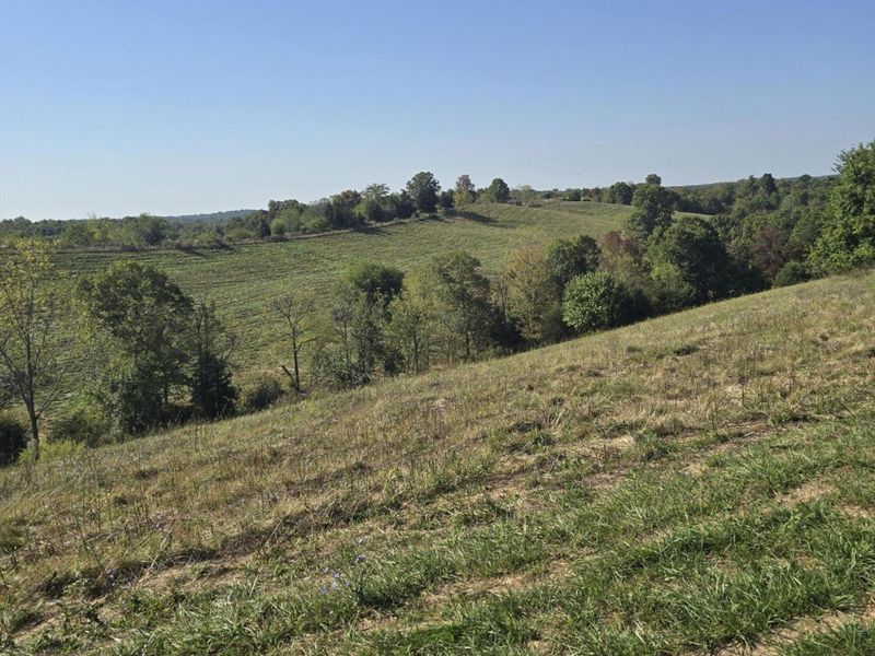 22 Acres Keefer Road, Corinth, KY 41010 Photo 4
