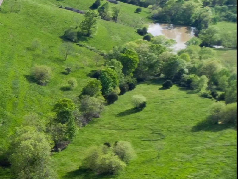 22 Acres Keefer Road, Corinth, KY 41010 Photo 6