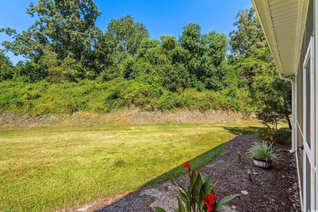 113 Knightbury Ct. Photo 23