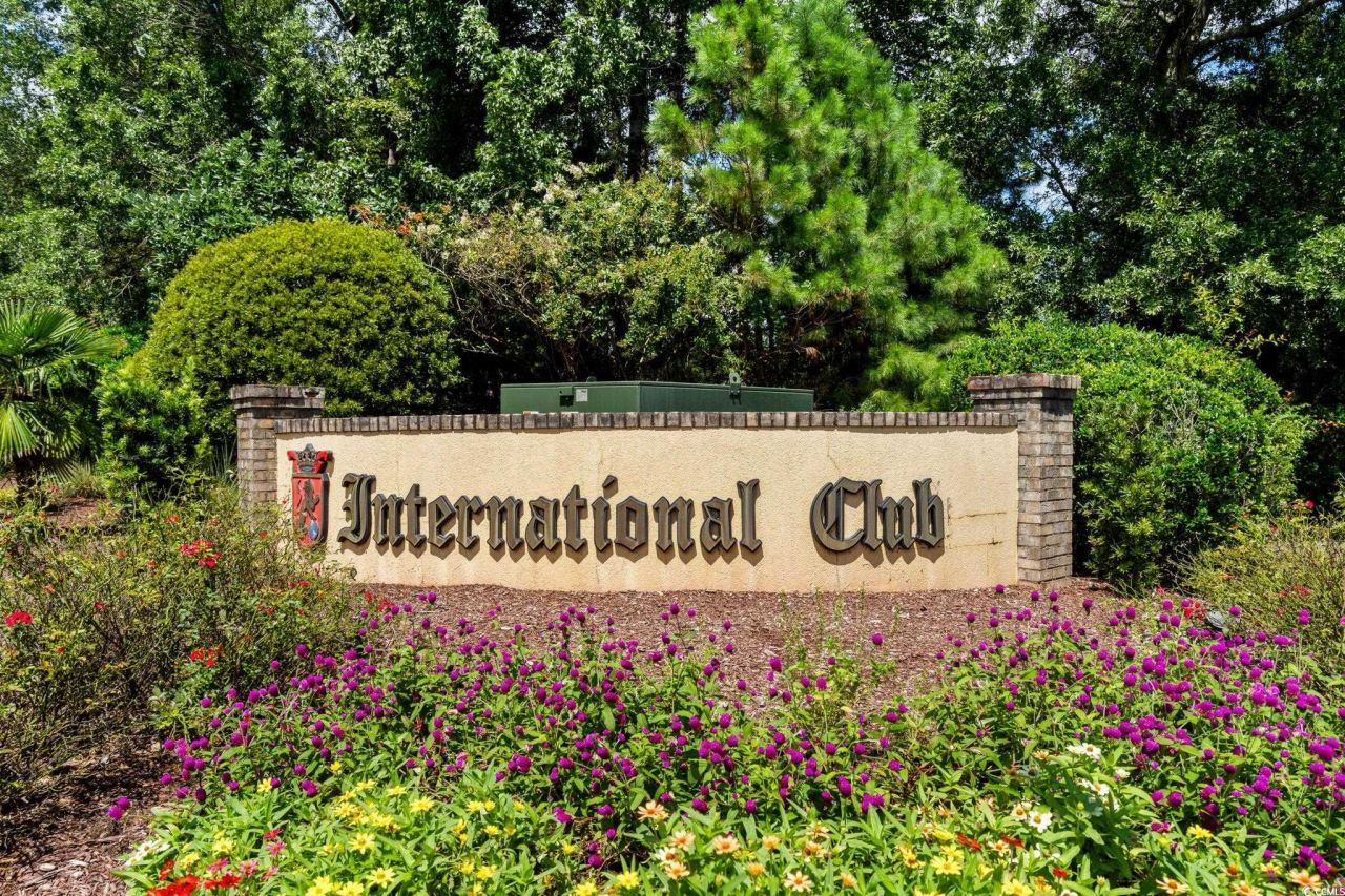 113 Knightbury Ct. Photo 38