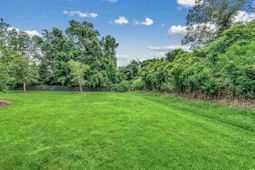 113 Knightbury Ct. photo 4