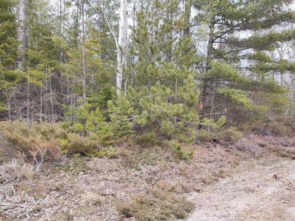 Lot 220 Pineview Drive, Presque Isle, MI 49777