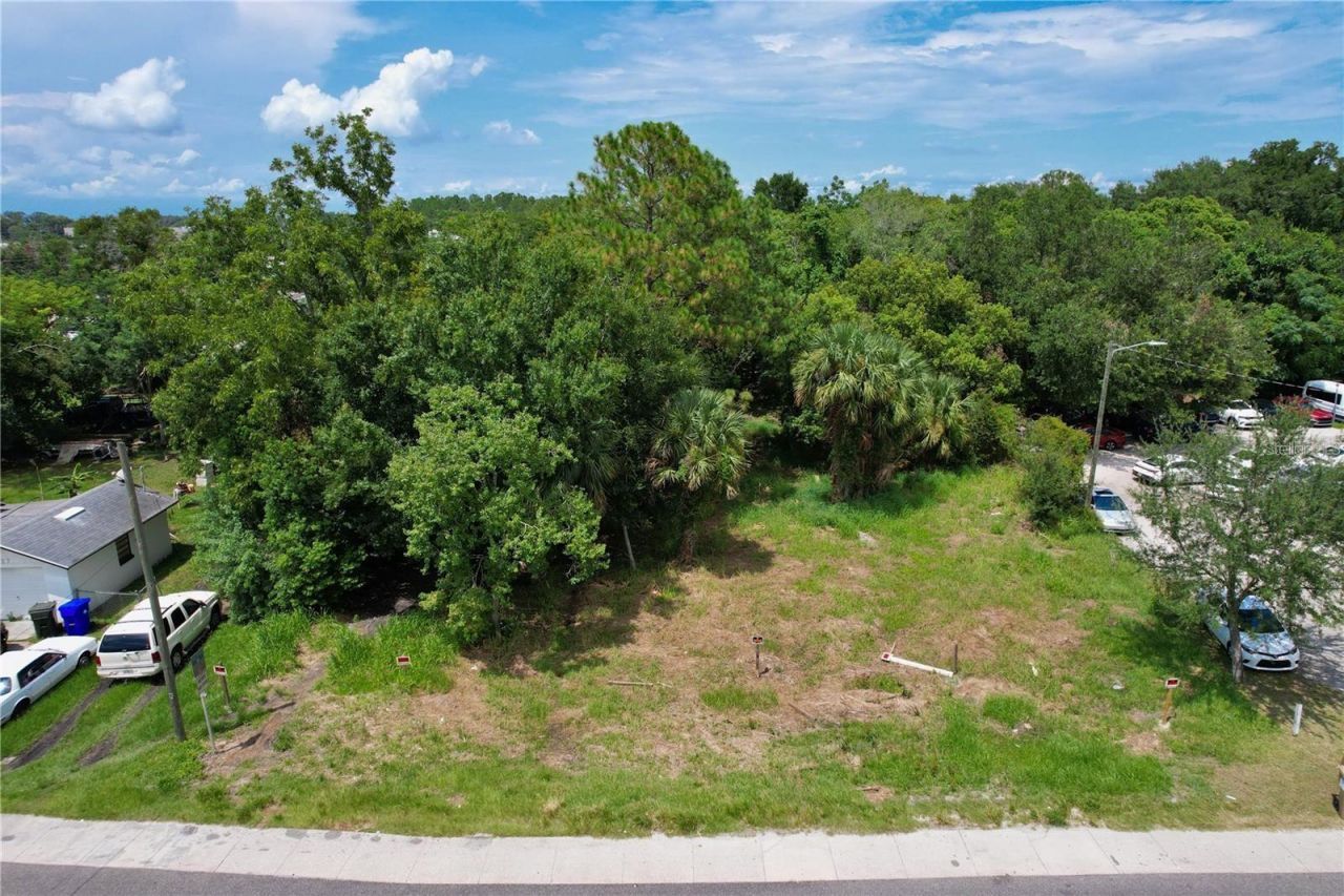 319 W Silver Star Road, Ocoee, FL 34761 Photo