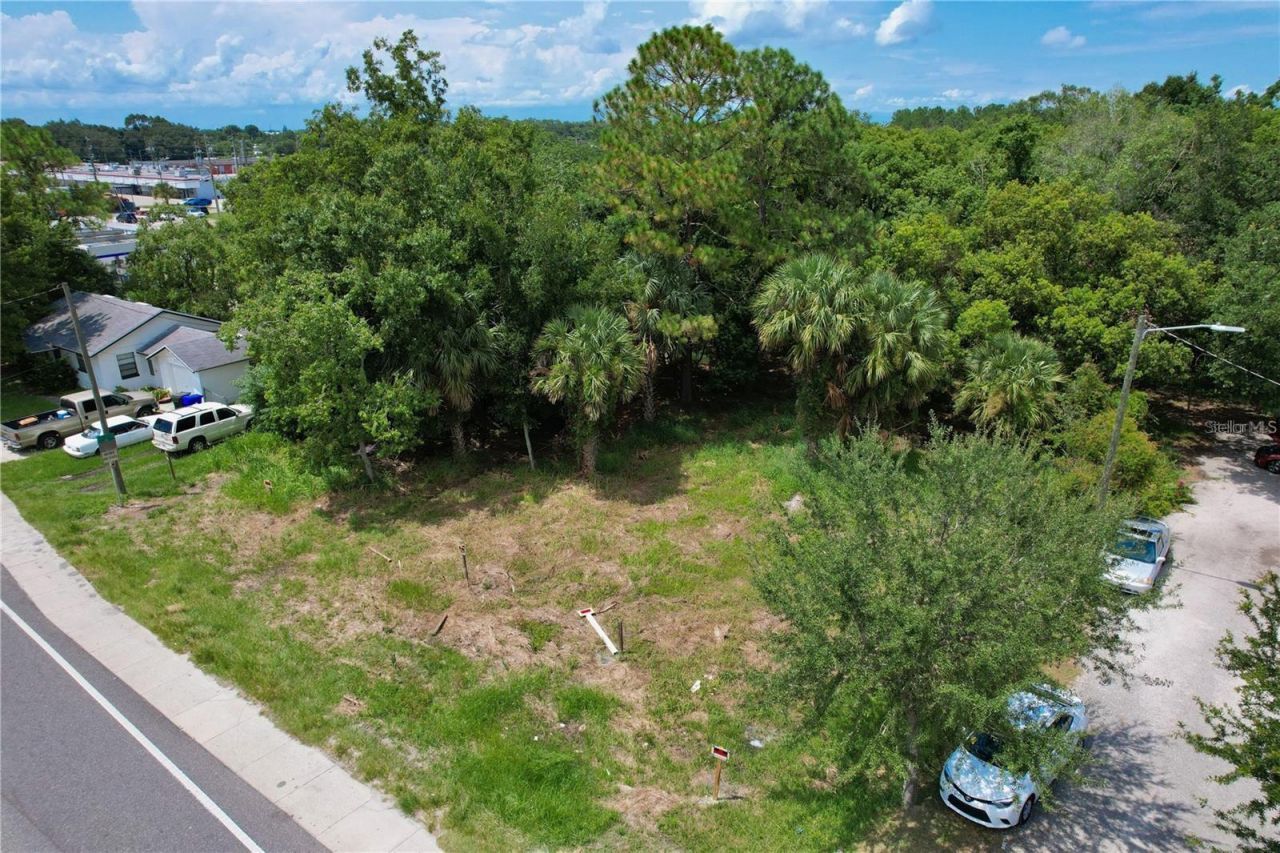 319 W Silver Star Road, Ocoee, FL 34761 Photo