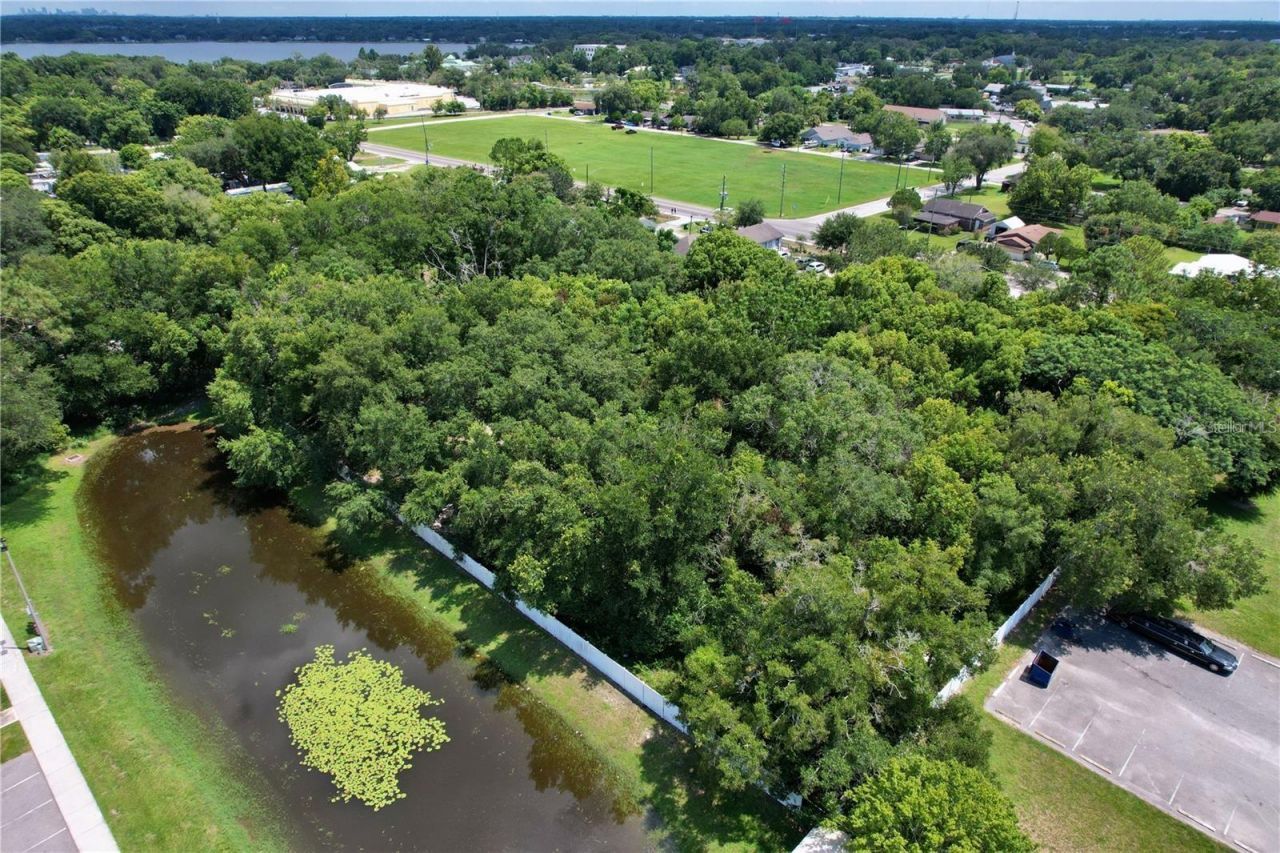 319 W Silver Star Road, Ocoee, FL 34761 Photo