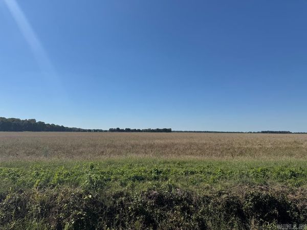 619 acres Flag Slough Lane, Weiner, AR 72479