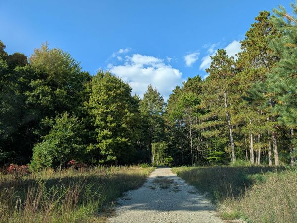 6698 E Skeels Road, Holton, MI 49425