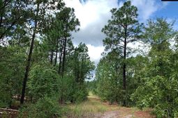 691 Bettis Academy Road  photo 4