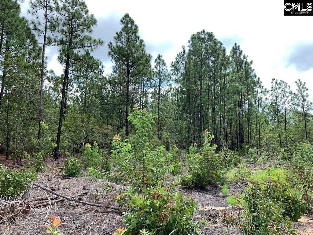 691 Bettis Academy Road  Photo 4