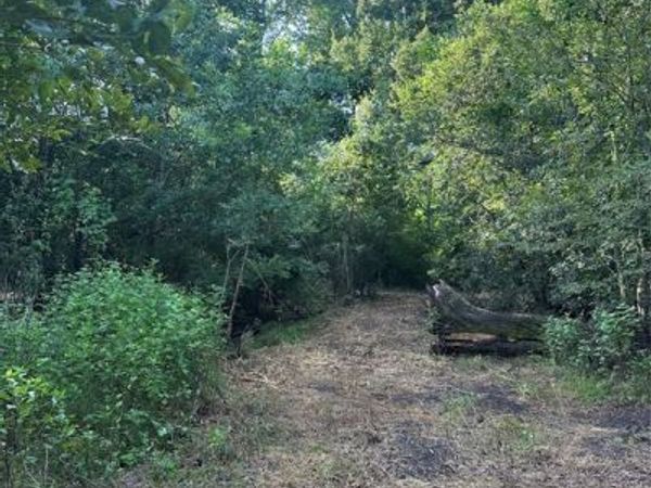 TBD FM 1245 W, Groesbeck, TX 76642