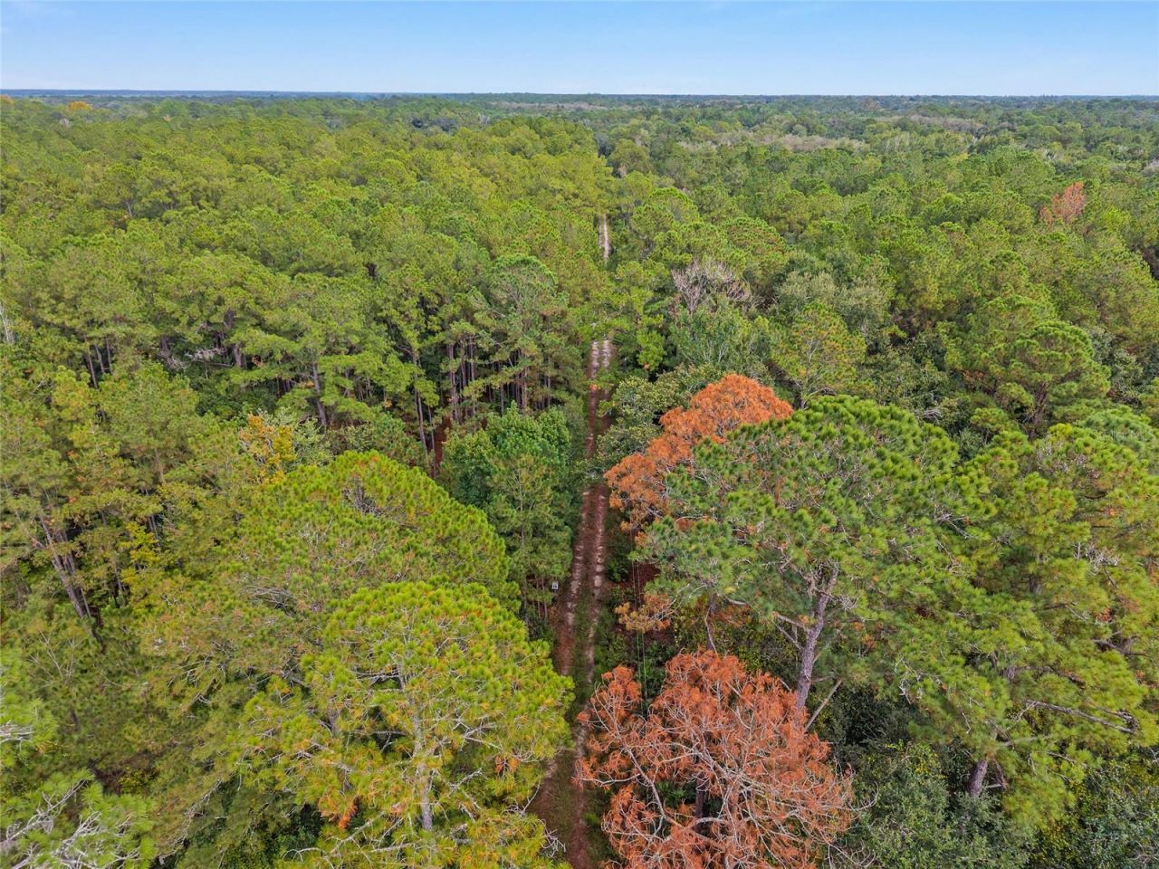 11427 SW 10th Terrace, Micanopy, FL 32667 Photo