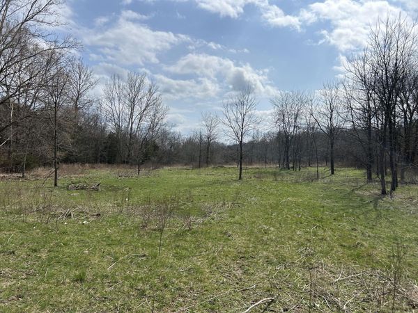 0 Enchanted Meadows Private Drive, Unit Lot 10, Macomb, MO 65702