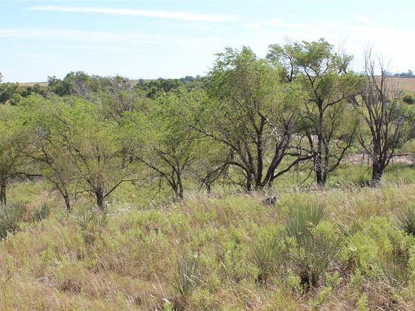 TBD 180, Memphis, TX 79245