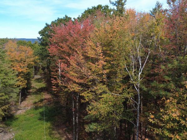 L1 Welch Road, Jefferson, NY 12131