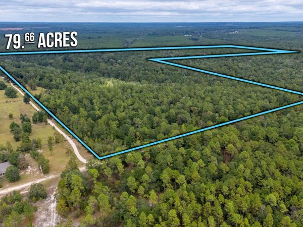 79 Acres Bucking Up Road, Laurel Hill, FL 32567