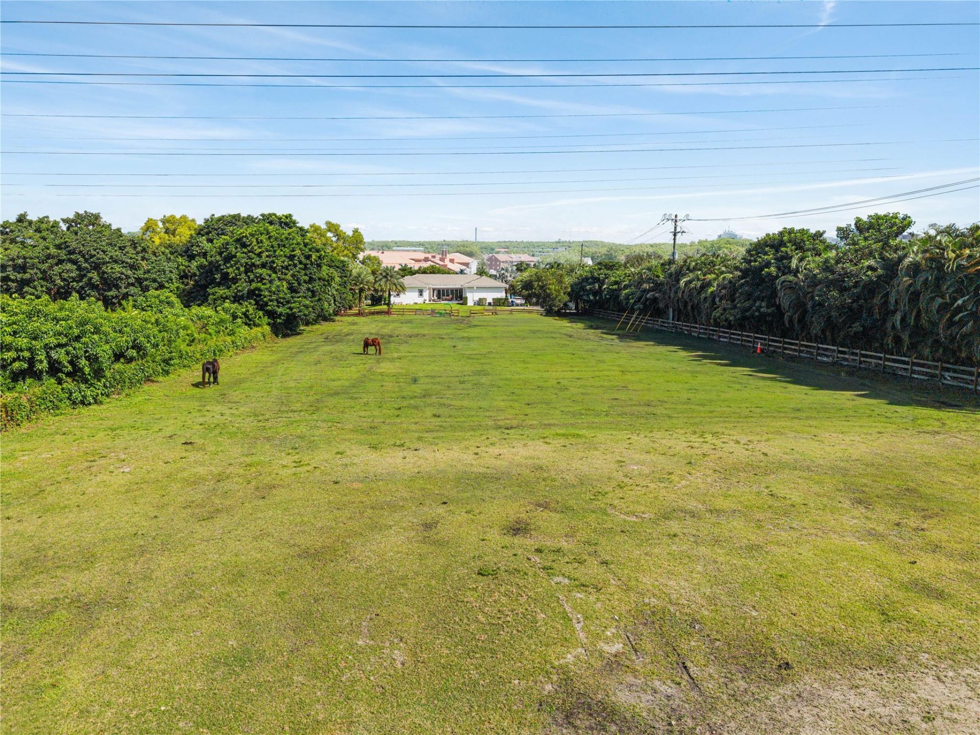 6601 Appaloosa Trl, Southwest Ranches, FL 33330 Photo