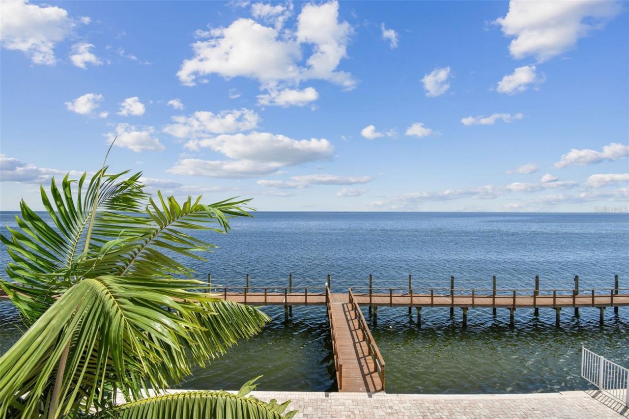 5116 Beach Drive Se, Unit D, Saint Petersburg, FL 33705 Photo