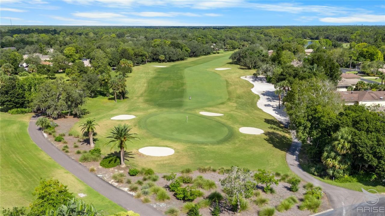 1090 Red Maple Way, New Smyrna Beach, FL 32168 Photo