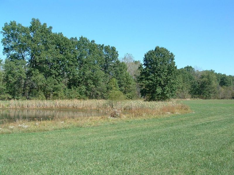 0 Nichols Lane Road NW, Johnstown, OH 43031 Photo 10