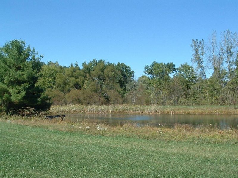 0 Nichols Lane Road NW, Johnstown, OH 43031 Photo 11