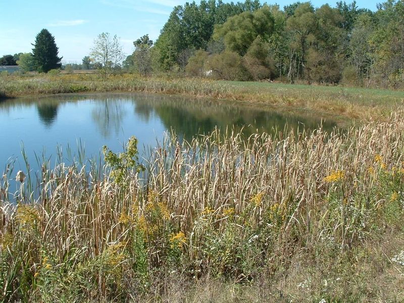 0 Nichols Lane Road NW, Johnstown, OH 43031 Photo 17