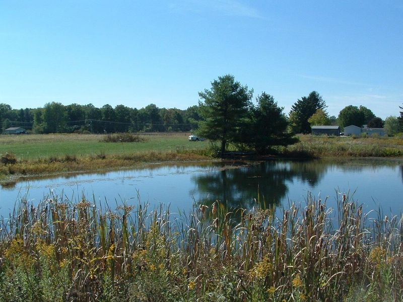 0 Nichols Lane Road NW, Johnstown, OH 43031 Photo 18