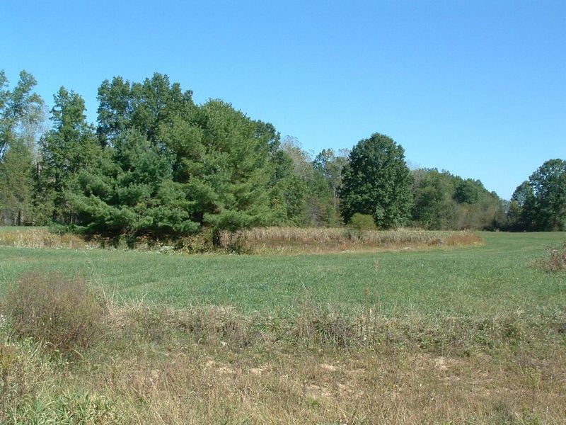 0 Nichols Lane Road NW, Johnstown, OH 43031 Photo 4