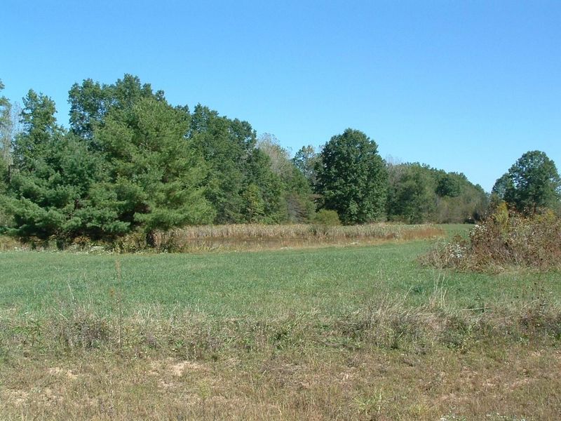 0 Nichols Lane Road NW, Johnstown, OH 43031 Photo 5