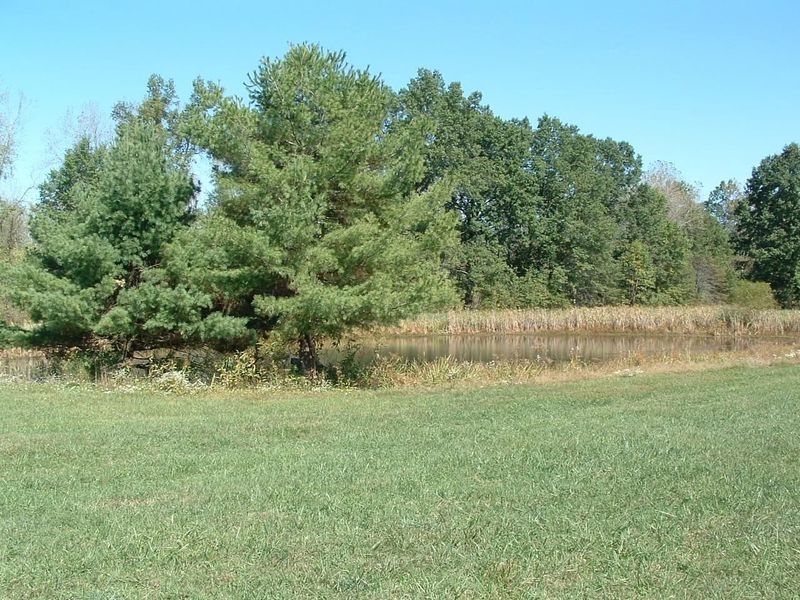 0 Nichols Lane Road NW, Johnstown, OH 43031 Photo 7