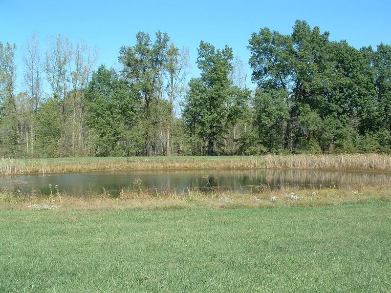 0 Nichols Lane Road NW, Johnstown, OH 43031 Photo 9