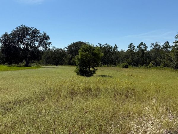 0 Jewel Road, Alford, FL 32420