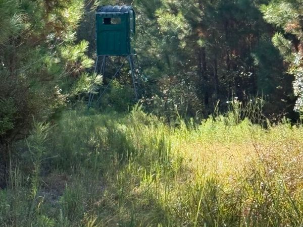 0 Hwy 2, Graceville, FL 32440