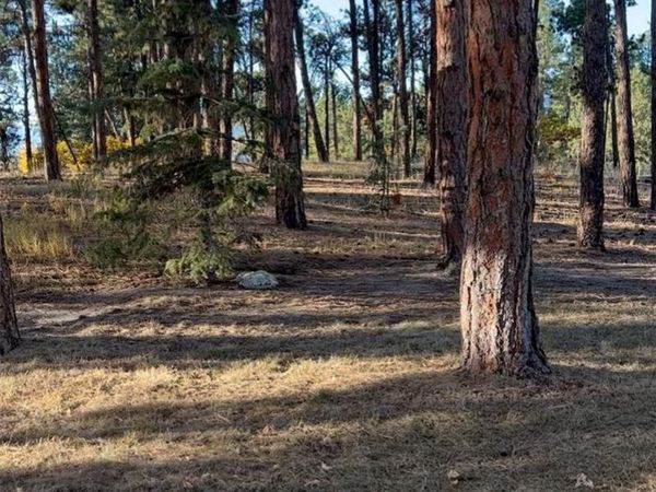 Rancho Escondido Lot 23C, Weston, CO 81091
