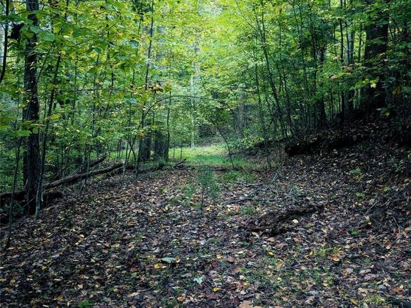 0 Luxury Lake None, Etowah, NC 28739