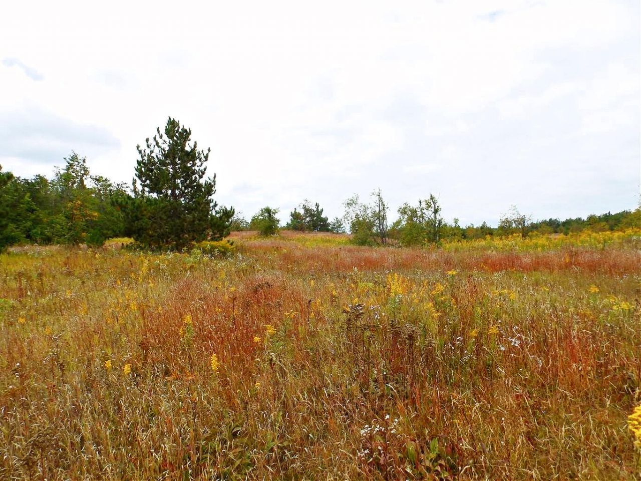 V/l 10ac Finnegan Road, Johannesburg, MI 49751 Main Photo