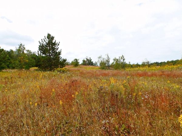 V/L 10AC Finnegan Road, Johannesburg, MI 49751