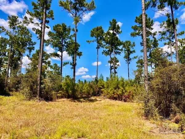 Lot 1 Morgans Branch, Molino, FL 32577