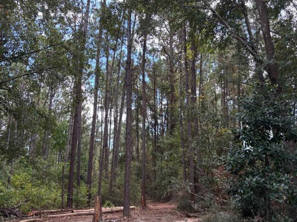 23790 S County Road 12, Foley, AL 36535