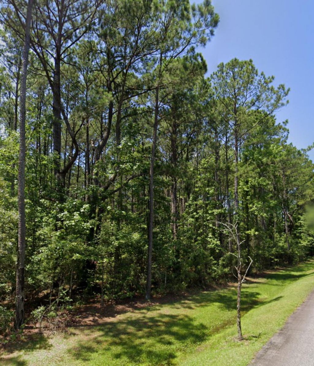 0 Sportsman Island Dr Drive Photo 5