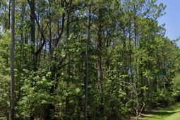 0 Sportsman Island Dr Drive photo 4